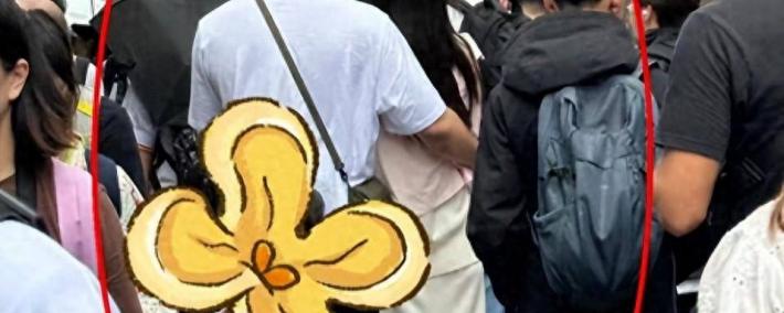 天呐！乔訢(xīn)这波操作太(tài)秀了，500亿豪門(mén)？秘密结婚？这是要(yào)上天！