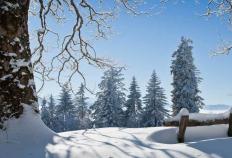 英(yīng)雄联盟全球(qiú)总决賽(sài)冠亚军决賽(sài)四川打响