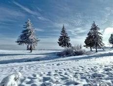 英(yīng)雄联盟全球(qiú)总决賽(sài)冠亚军决賽(sài)四川打响