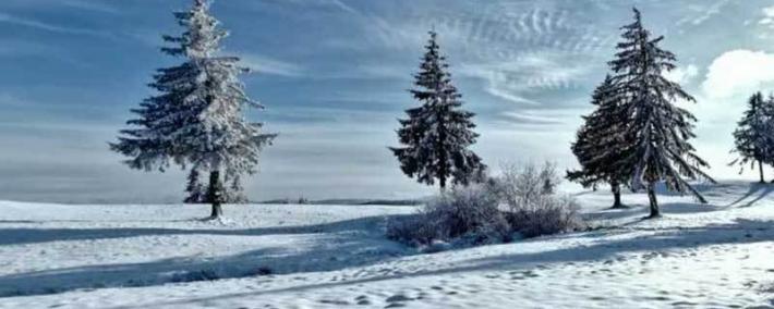 英(yīng)雄联盟全球(qiú)总决賽(sài)冠亚军决賽(sài)四川打响