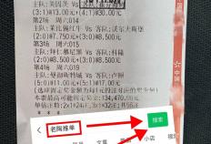 世预赛：土(tǔ)耳其VS格鲁吉亚今日赛果预测