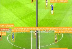 火星数据：YOLO算法在体育赛事数据分析中的应用