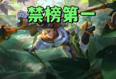 禁用率暴露版本真相！艾琳吃满圣剑红利，杨戬41%禁用率难怪挨刀(jin yong lyu bao lu ban ben zhen xiang ai lin chi man sheng jian hong li yang jian jin yong lyu nan guai ai dao)