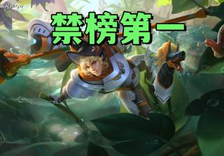 禁用率暴露版本真相！艾琳吃满圣剑红利，杨戬41%禁用率难怪挨刀(jin yong lyu bao lu ban ben zhen xiang ai lin chi man sheng jian hong li yang jian jin yong lyu nan guai ai dao)