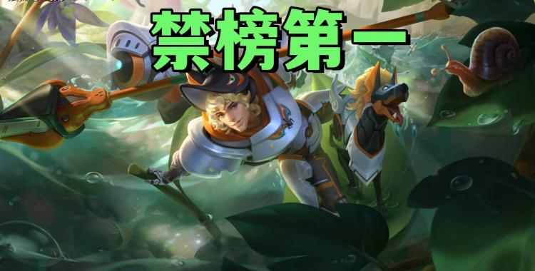 禁用率暴露版本真相！艾琳吃满圣剑红利，杨戬41%禁用率难怪挨刀(jin yong lyu bao lu ban ben zhen xiang ai lin chi man sheng jian hong li yang jian jin yong lyu nan guai ai dao)