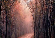 迅捷兴珠海厂最新动態(tài)