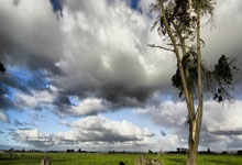 虎牙直播收罸(fá)單(dān)，林松涛节衣缩食