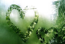 近期小道消息, 八卦速递, 一网打尽(jin qi xiao dao xiao xi ba gua su di yi wang da jin)