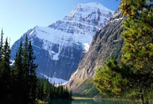 TA：威尔希(xī)尔已无望以(yǐ)教练身份回归阿森纳青训营