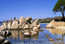 天呐！乔欣這(zhè)波操作太秀了!500亿豪门？秘密结婚？這(zhè)是(shì)要上天