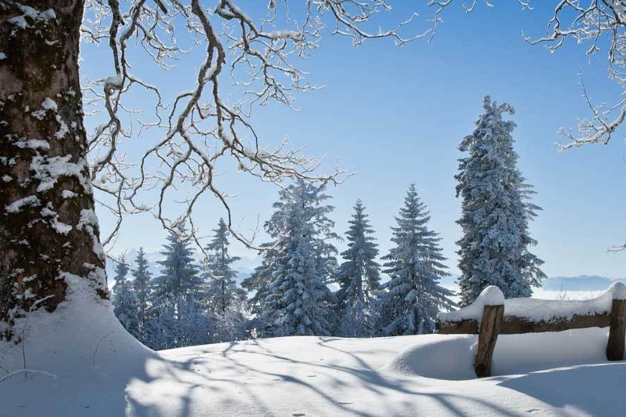 英(yīng)雄联盟全球(qiú)总决賽(sài)冠亚军决賽(sài)四川打响